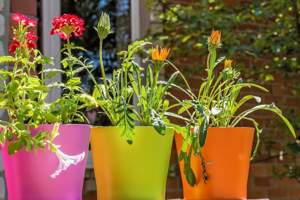 Постарайтесь, чтобы о декоративные цветочные горшки. Будут интересным украшением интерьера или сада