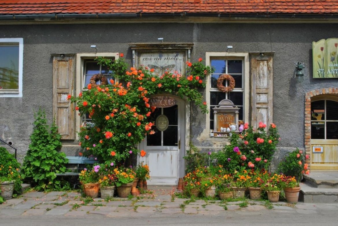 Вазоны садовые – 5 идей, чем посадить растения