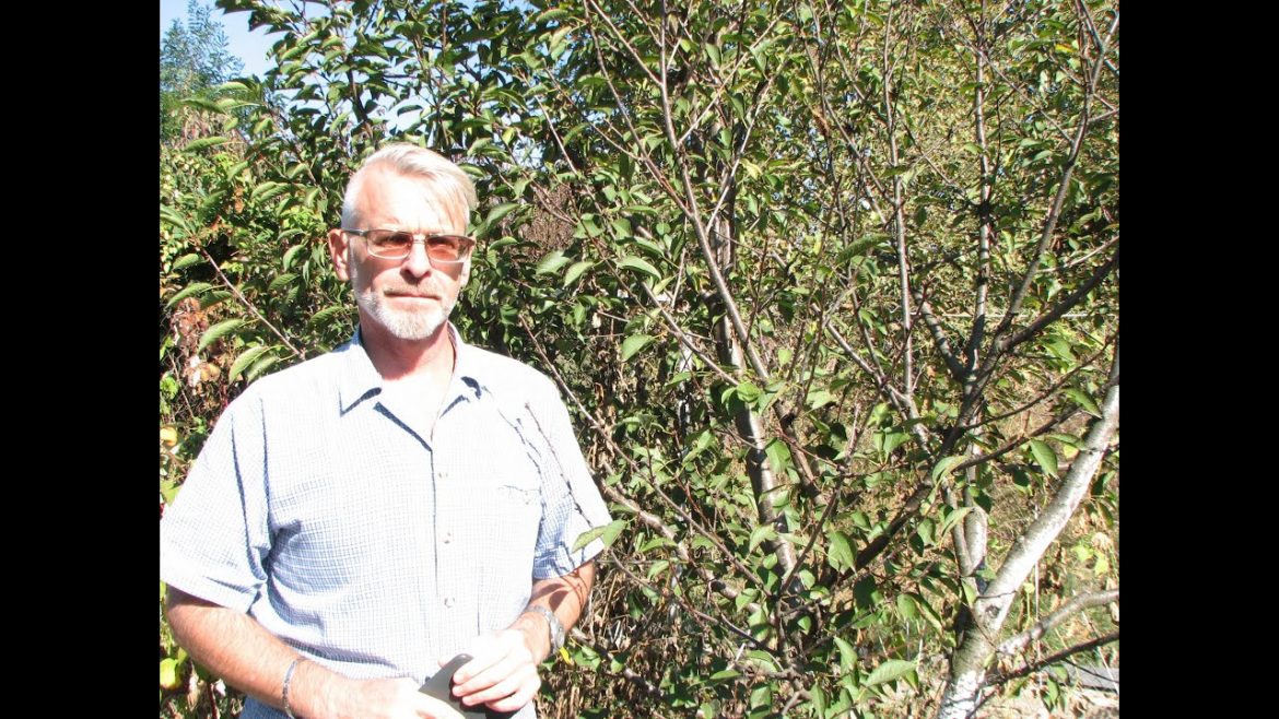 landshaftnyj-dizajn-dlya-novichkov-10-sovetov-ot-professionalov-foto-zelendvir Ландшафтный дизайн для новичков. 10 советов от профессионалов. Фото – ZelenDvir