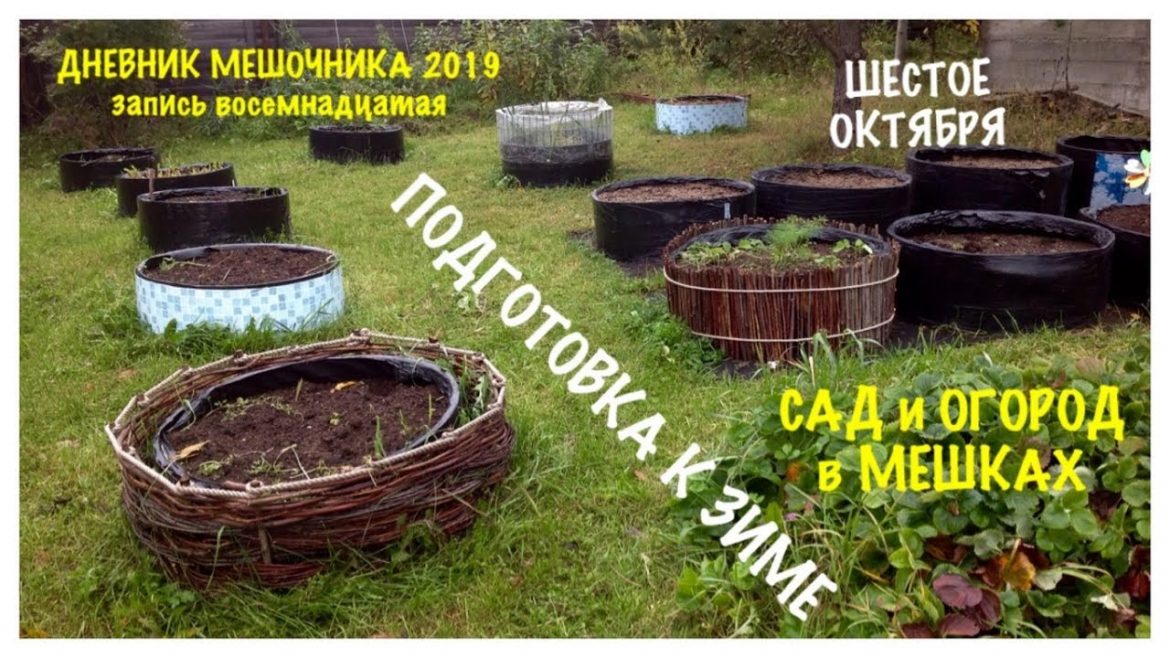 Работы в саду и на огороде в октябре. Список работ. Видео – ЗЕЛЕНАЯ УСАДЬБА