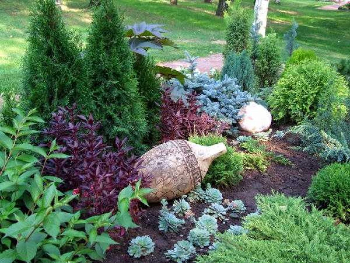 Люпин – украшение цветников практического саду – zelendvir