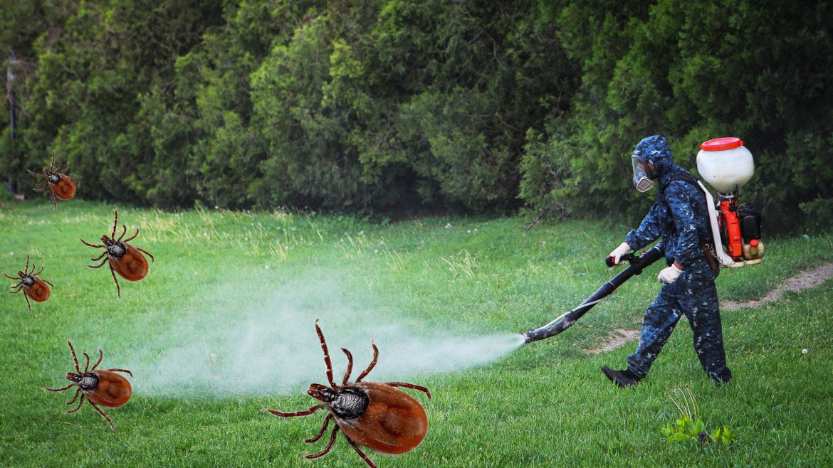 kak-zashhitit-uchastok-ot-kleshhej-bez-himii-10-prostyh-i-effektivnyh-sposobov Как защитить участок от клещей без химии: 10 простых и эффективных способов