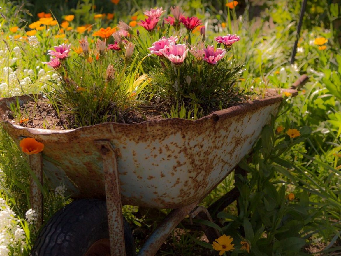 25 идей декора сада и двора с садовой тачкой, велосипедом или колесом