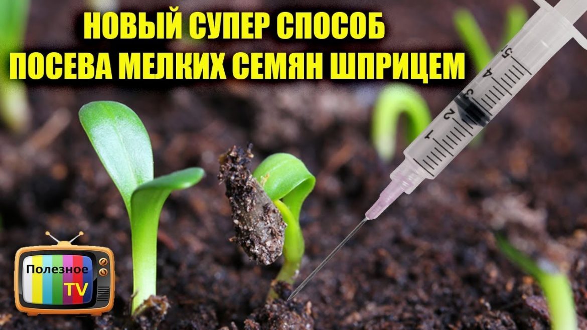 Лучшие способы посева мелких семян
